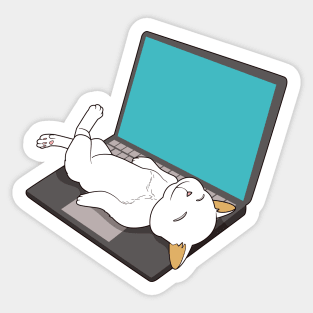 cat sleeping on laptop Sticker